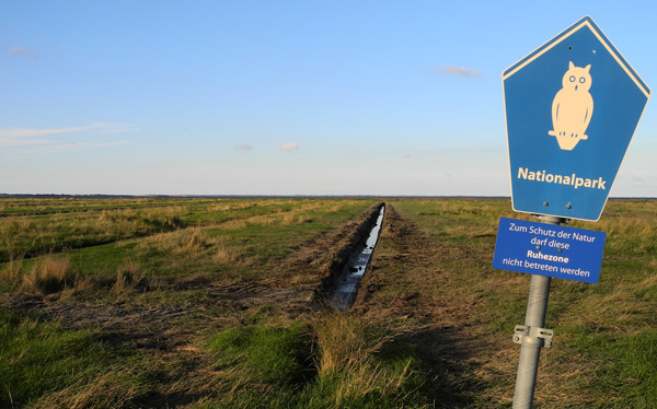 Salzwiese_Dornumersiel-Sept2013_Betreten-verboten, Fot (C): Manfred Knake
