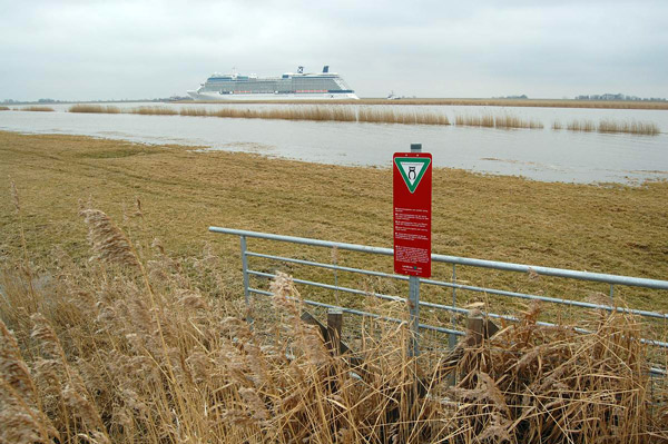 Abgesoffenes Ems-Deichvorland druch Überführung eines Kreuzfahrtschiffes, EU-Vogelschutzgebiet, Foto (C): Eilert Voß