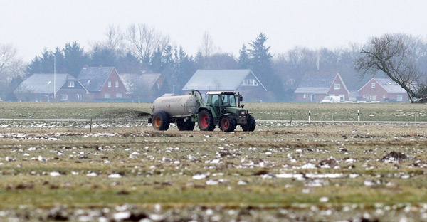 Gülle auf Gänseäsungsflächen, Rheiderland, Ditzumer-Verlaat, Februar 2015, Foto (C): Eilert Voß