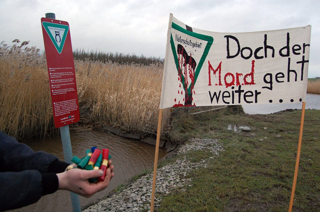 Jagd an Gewässern mit verbotenem Bleischrot. Foto (C): Eilert Voß