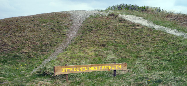Schutzdünen auf Langeoog, April 2015, Foto (C): Manfred Knake