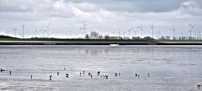 Blick vom Langeoog-Wattenfahrwasser aufs Festland, Foto (C): Manfred Knake