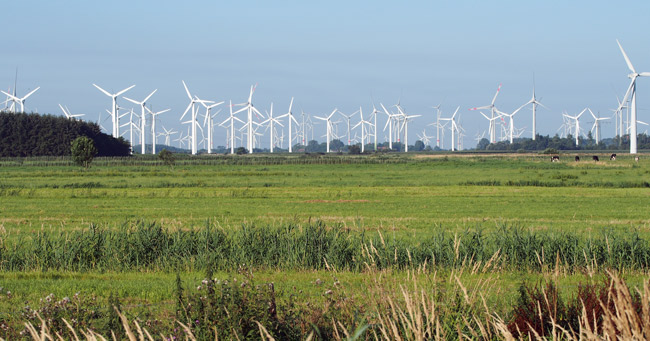 Windpark Utgast/Holtgast, Landkreis Wittmund, direkt am EU-Vogelschutzgebiet, Foto (C): Manfred Knake