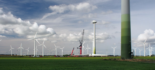 Windpark Utgast/LK Wittmund/NDS: Industriegebiet direkt am EU-Vogelschutzgebiet, Foto (C): Manfred Knake