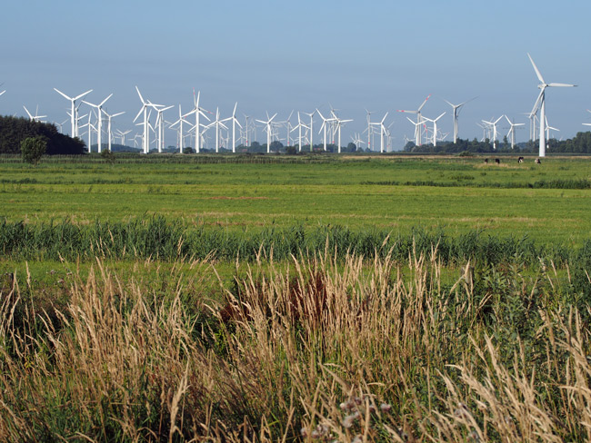 Windpark Utgast am EU-Vogelschutzgebebiet V63, Landkreis Wittmund, einer von vielen Windparks an der Küste: ehemaliges Rastgebiet von Gänsen und Watvögeln; Foto (C): Manfred Knake