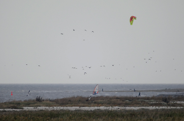Kiter in Upleward