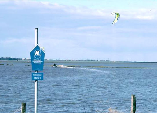 Kitesurfer in der Ruhezone am Dollart