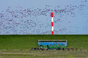 Vogelkieker-Bus in Kehdingen, Naturerlebnis mit Vogelsverscheuchen
