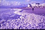 Archivbild: Phaeoystisschaum auf Borkum, 05. Juni 1986 - Foto (C): Eilert Voß