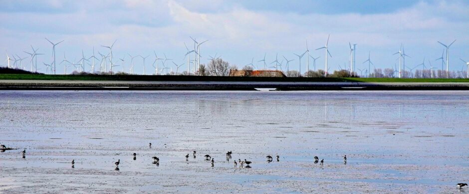 Wattenrat Ostfriesland –  mit der Wattenpresse – unabhängiger Naturschutz für die Küste